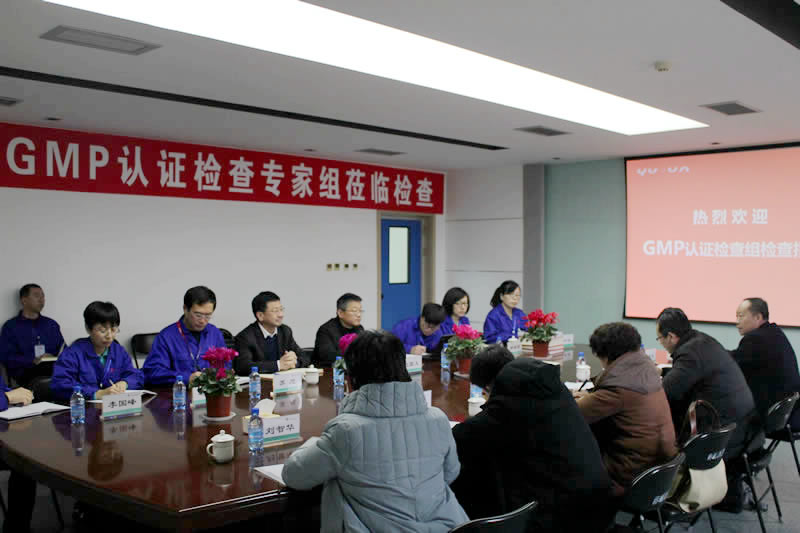 2019年1月GMP專(zhuān)家飛檢